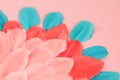 Beautiful Real feathers trend color living coral and blue on pink background closeup