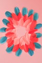 Beautiful Real feathers trend color living coral and blue on pink background closeup. Color of the year 2019