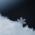 A beautiful real snowflake. Snow in nature. Macro photo in winter. Concept for Christmas and holidays Royalty Free Stock Photo