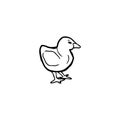 Beautiful realistic chick standing in black isolated on white background. Hand drawn vector sketch illustration in Royalty Free Stock Photo