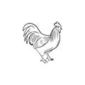 Beautiful realistic chicken cock rooster in black isolated on white background. Hand drawn vector sketch doodle Royalty Free Stock Photo