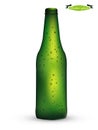 Beautiful realistic graphic design vector of green color bottle of beer with condensed water Royalty Free Stock Photo