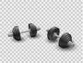 Beautiful realistic perspective view fitness vector of two black iron loadable dumbbells on transparent background