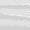 Beautiful realistic torn paper stripes vector set tamplate on transparent background