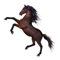 Beautiful Rearing Horse Royalty Free Stock Photo