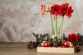 Beautiful red amaryllis flowers and Christmas decor on wooden table. Space for text Royalty Free Stock Photo