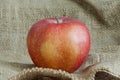 Beautiful red apple on canvas bag Royalty Free Stock Photo