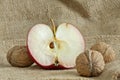 Beautiful red apple with nuts on canvas bag Royalty Free Stock Photo