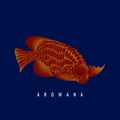 Beautiful red arowana fish vector illustration 02 Royalty Free Stock Photo