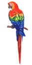 Beautiful red, blue, green Scarlet Macaw, Ara parrot on branch, colorful exotic bird, isolated, hand drawn watercolor Royalty Free Stock Photo