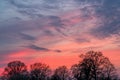 Red and blue sky with silhouettes of trees in the forground after sunset