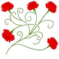 Beautiful red carnation isolated Vector 2 Royalty Free Stock Photo