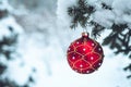 Red christmas ball on a snow-covered tree branch Royalty Free Stock Photo