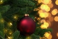Beautiful red Christmas ball hanging on fir tree against blurred festive lights, closeup Royalty Free Stock Photo