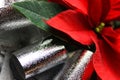 Beautiful red christmas flower poinsettia with silver bow Royalty Free Stock Photo