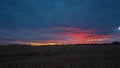 Beautiful red clouds. The sky immediately after sunset in summer. Royalty Free Stock Photo