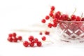 Beautiful red currant berries from the garden in a glass bowl an Royalty Free Stock Photo