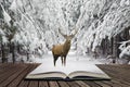 Beautiful red deer stag in snow covered festive season Winter forest landscape concept coming out of pages in open book Royalty Free Stock Photo