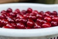 Beautiful red delicious cherries with white bowl Royalty Free Stock Photo