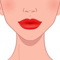 Beautiful red female lips Royalty Free Stock Photo