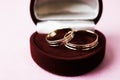 A beautiful red festive gift box velvet for two engagement, wedding rings with precious gold round precious pile rings. Royalty Free Stock Photo