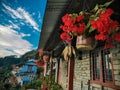 Beautiful red flowers in traditional Nepalese house