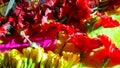 Beautiful Red Flowers And Yellow flowers Doing Hindu Worship. Worship Bell