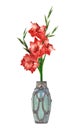 Beautiful red gladiolus in vase