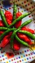 Beautiful indian red and green chilli.