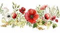 beautiful red green flower garden watercolor arrangement on white isolated background Royalty Free Stock Photo