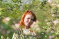 Beautiful red-haired girl walks in apple orchard Royalty Free Stock Photo