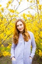 Beautiful red-haired young woman standing near blooming Forsythia bushes in spring garden