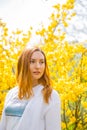 Beautiful red-haired young woman standing near blooming Forsythia bushes in spring garden Royalty Free Stock Photo