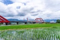 Beautiful Red Iron Bridge Kecheng Bridge And Morning Train Across The Rice Plantation At Yuli