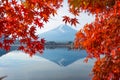 Beautiful red leaf maple tree with Mt.Fuji at Japan in Autumn Royalty Free Stock Photo
