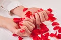 Beautiful red manicure and rose petals. Royalty Free Stock Photo