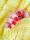 Beautiful red manicure shellac cozy creative   elegant    winter stylish female hand, sweater cosmetic Royalty Free Stock Photo