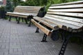 Beautiful red modern park benches in the evening Royalty Free Stock Photo