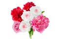 Beautiful red nad pink peony bunch isolated on white background Royalty Free Stock Photo