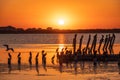 Beautiful red and orange sunset over the sea. The sun goes down over the sea. A flock of cormorants sits on a old sea pier in Royalty Free Stock Photo