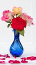 Beautiful red and pink roses in blue vase on white wooden background Royalty Free Stock Photo