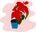 Beautiful red poinsettia in the blue pot. Christmas decoration, house plant. Vetor Illustration Royalty Free Stock Photo