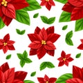 Beautiful red Poinsettia flower and green leaves Christmas decoration seamless illustration isolated on white background wi Royalty Free Stock Photo