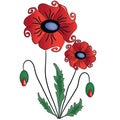 Beautiful red poppy flower with leaves