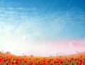 Beautiful red poppy flowers under sky with clouds Royalty Free Stock Photo