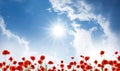 Red poppy flowers under blue sky with clouds Royalty Free Stock Photo