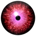 Beautiful red and purple round 3d halloween eyeball