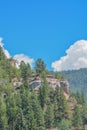 Beautiful red rock formations and gorgeous Ponderosa Pine trees on the mountainside. San Juan National Forest, Colorado Royalty Free Stock Photo