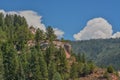 Beautiful red rock formations and gorgeous Ponderosa Pine trees on the mountainside. San Juan National Forest, Colorado