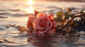 Beautiful red rose on the beach at sunset. Soft focus. AI Generated Generative AI